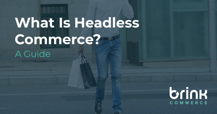What is Headless Commerce - a guide