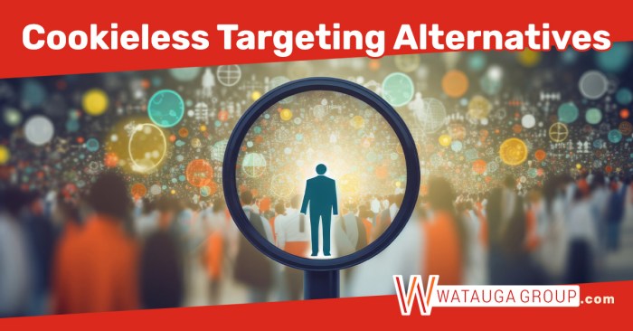 Navigating the Future of Digital Advertising: Cookieless Targeting